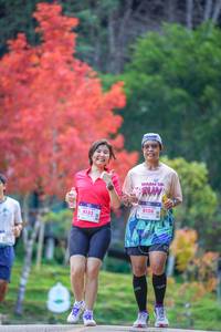 BIB: 8133, 8128
                            <button type="button" onclick="openModal(19240901)" class="btn btn-primary btn-sm float-right btn-popup" data-toggle="modal" data-target=".modal-high-quality">
                        <i class="fas fa-shopping-cart"></i> Add to Cart
                    </button>
                                            <button type="button" onclick="isThisMe(19240901, true)" class="btn btn-success btn-sm float-right btn-popup btn-isme hidden" data-toggle="tooltip" data-placement="bottom" title="นี่คือรูปของคุณใช่ไหม คลิกที่นี่เพื่อเอาเข้าอัลบั้ม">
                        <i class="fas fa-plus"></i> Add to album
                    </button>
                    <button type="button" onclick="isThisMe(19240901, false)" class="btn btn-warning btn-sm float-right btn-popup btn-isnotme hidden">
                        <i class="fas fa-ban"></i> Remove from album
                    </button>